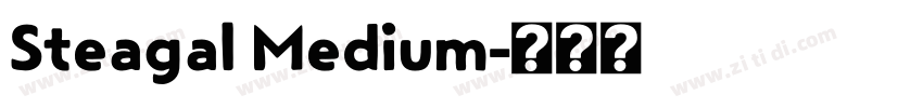 Steagal Medium字体转换